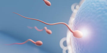 Foods That Improve Sperm Health Naturally: A Fertility Specialist’s Guide