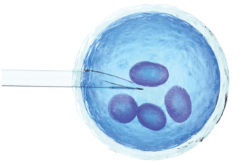 Egg & Embryo Freezing (Vitrification)