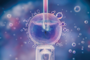 Frozen Embryo Transfer (FET)